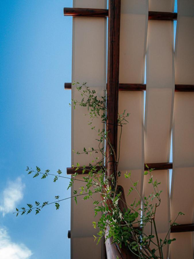 Villa Braou Rodakino Exterior photo